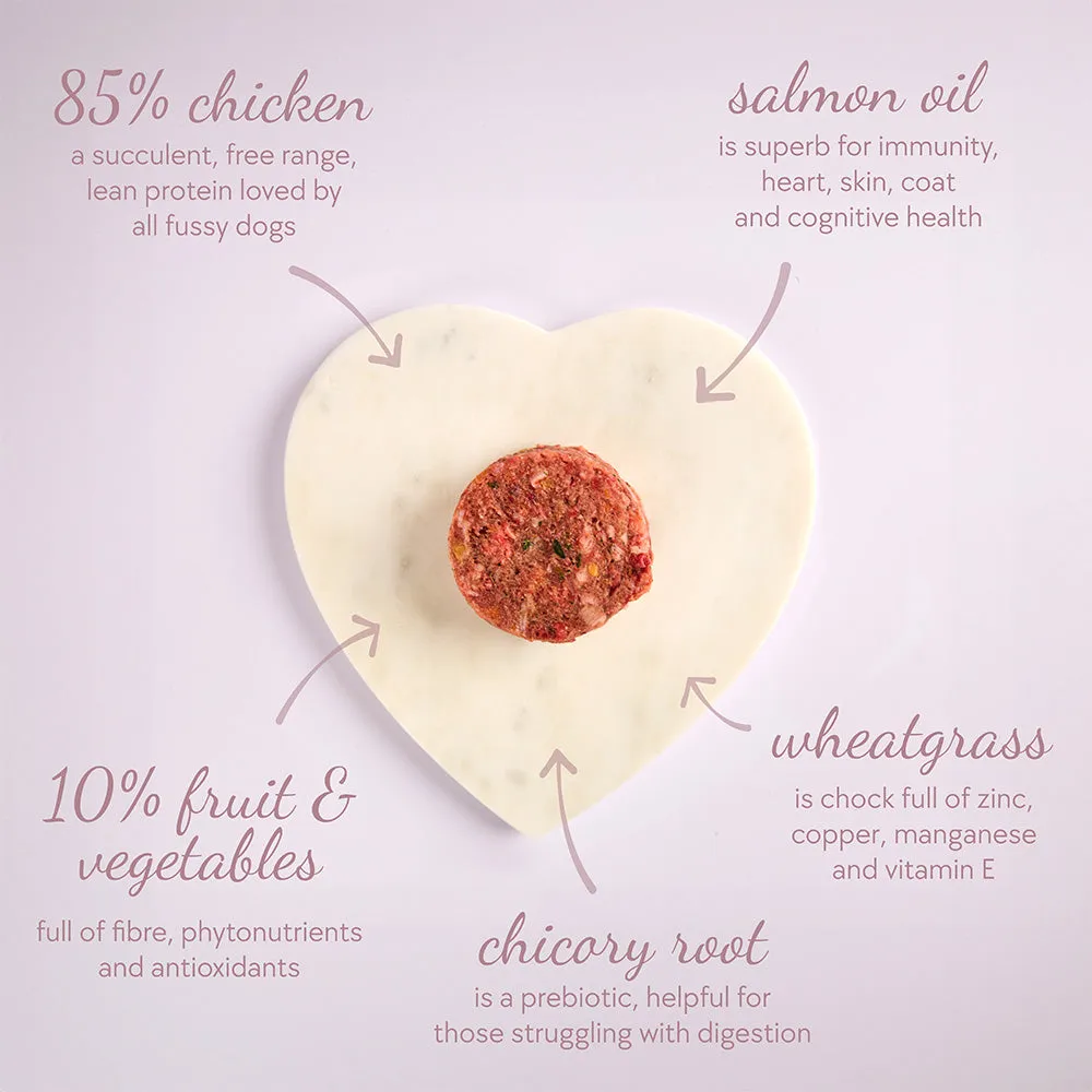 Adult Chick, Chick Chicken Patties (6 x 100g)