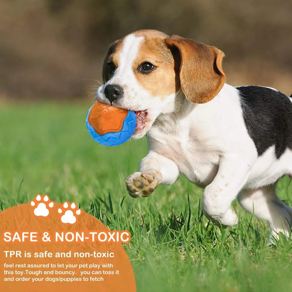Dog Chew Toys Ball Interactive Pool Play Floating Bite