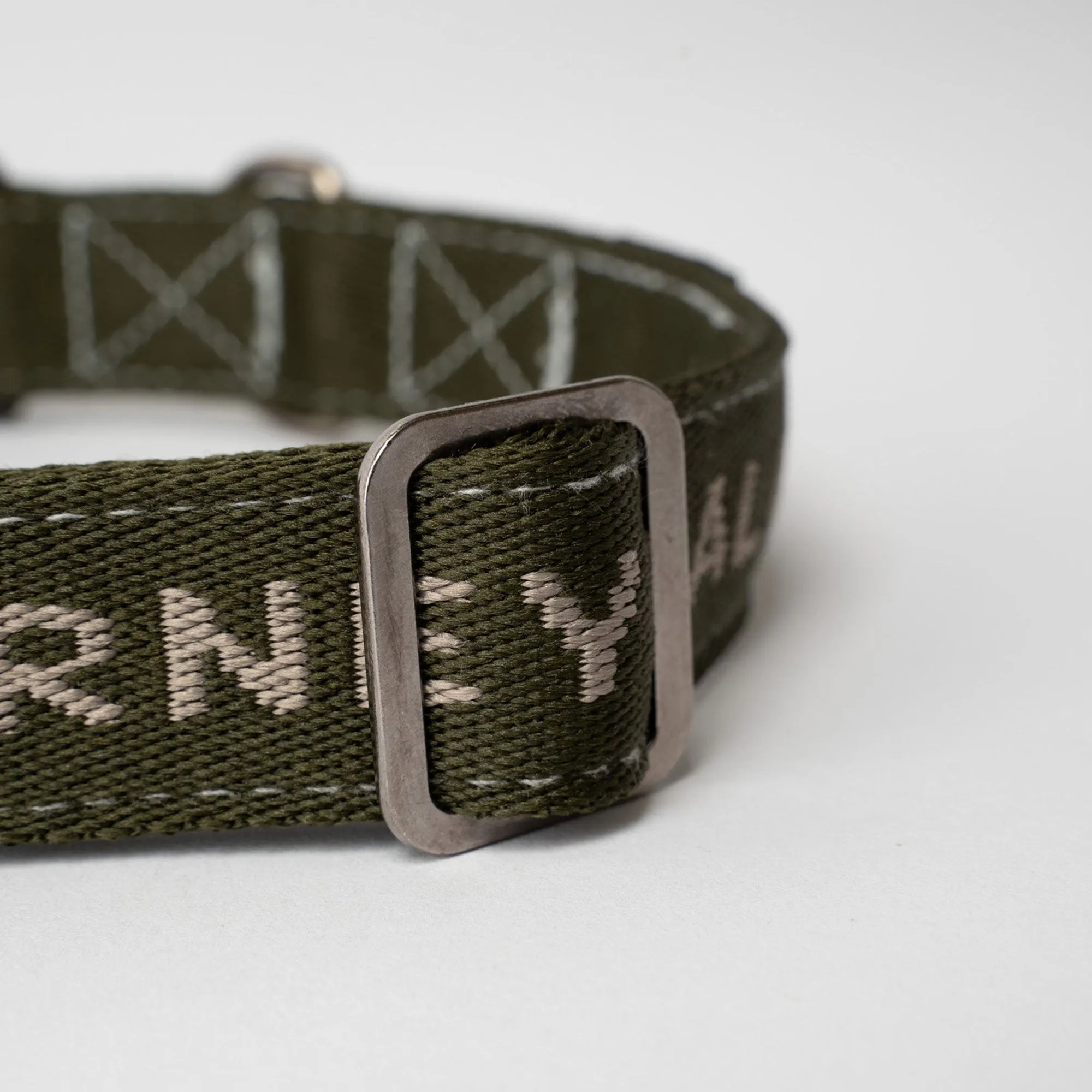 Downward Dog Collar