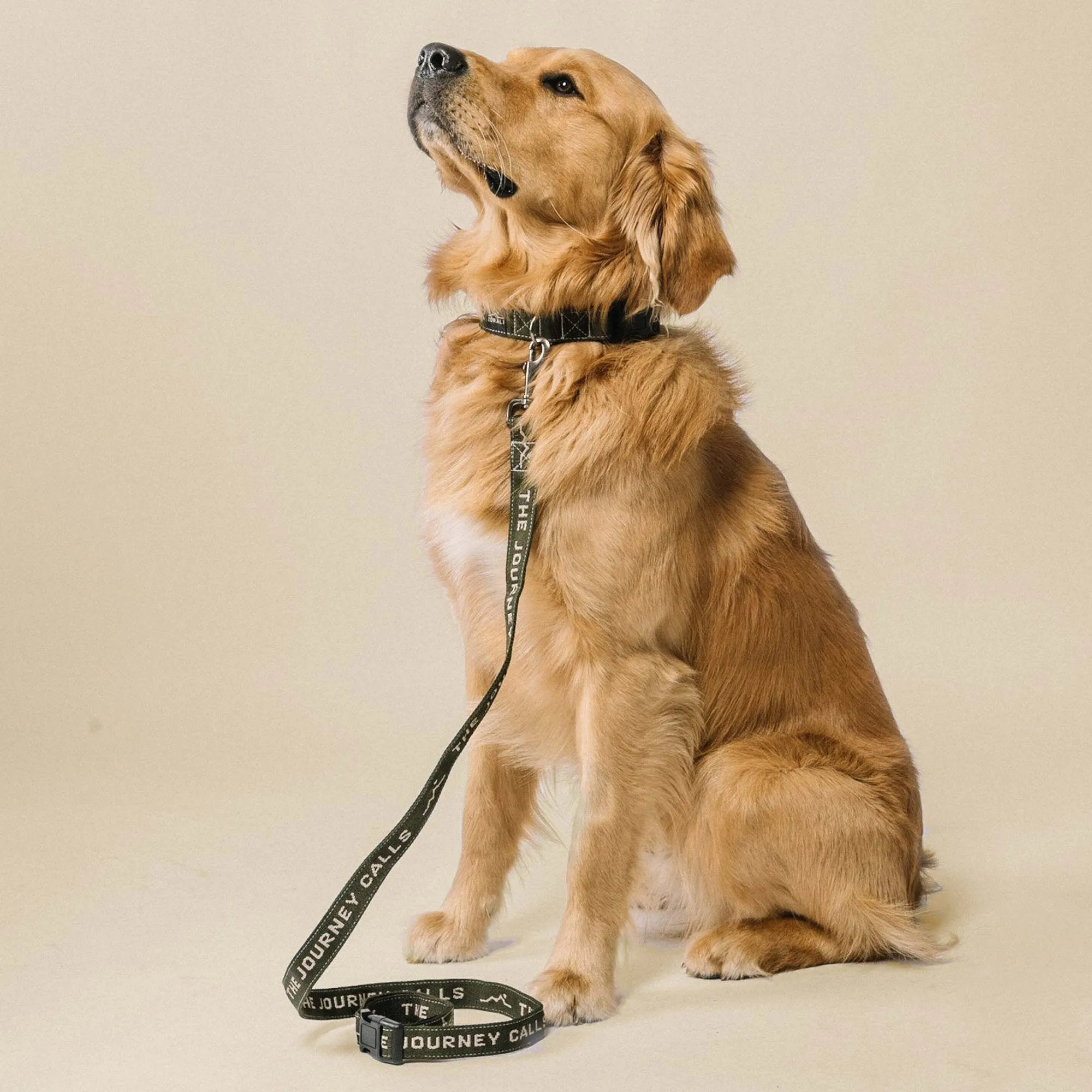 Downward Dog Collar