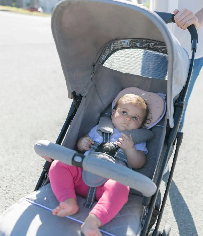 Lovenest Organic Infant Headrest