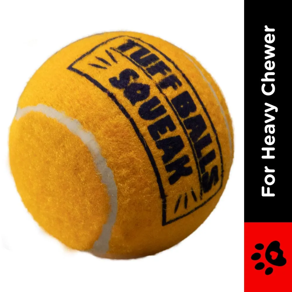 Petsport Tuff Balls Squeak Mesh Toy for Dogs (Orange)
