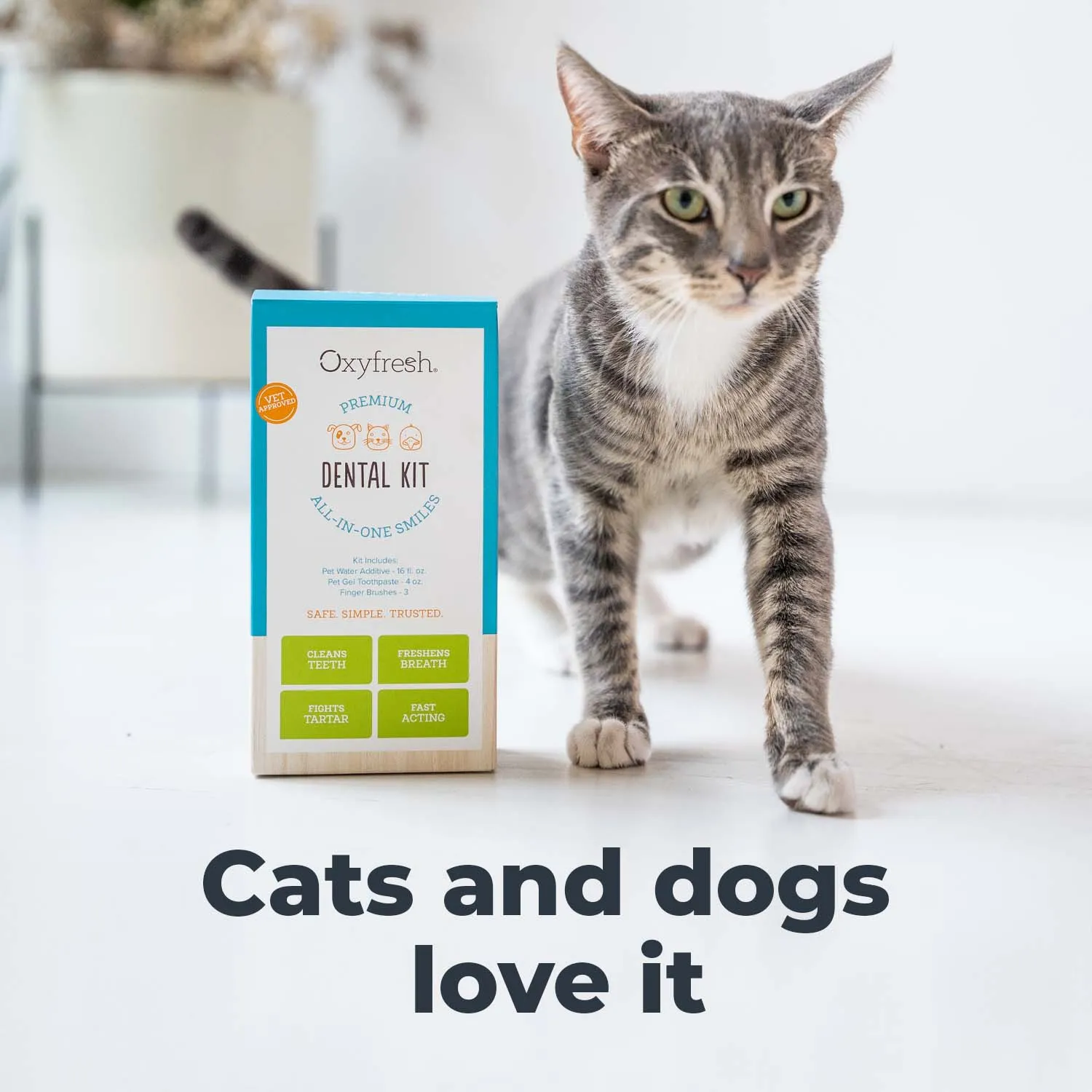 Premium Pet Dental Kit - Freshens Dog & Cat Bad Breath - Cleans Teeth